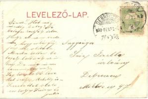 Szentes, külterületi tanyák (kissé ázott / slightly wet damage)