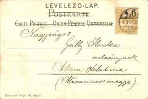 Máramarossziget, Sighetu Marmatei; Fő tér, virágos litho keret ragasztott képpel / main square. flor...