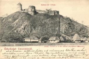 Sebesvár, Bologa (Csucsa); várrom. Dunky fivérek / castle ruins