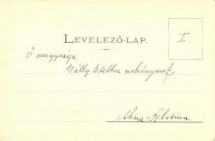 Sebesvár, Bologa (Csucsa); várrom. Dunky fivérek / castle ruins