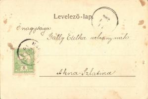 Felsőmarosújvár, Felsőújvár, Uioara de Sus (Marosújvár, Ocna Mures); Gróf Teleki Ádám kastélya. Adle...