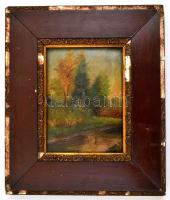 Mednyánszky jelzéssel: Patak parti fák. Olaj, vászon, sérült keretben, 22×17 cm