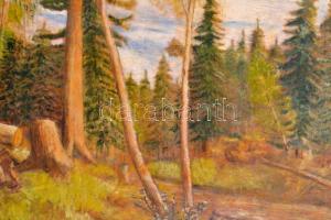 Mednyánszky jelzéssel: Erdőirtás. Olaj, falemez, sérült keretben, 53×87 cm