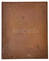 Csillag István (1881-1968) 1929. "Dr. Báró Korányi Frigyes" Br plakett (58x70mm) T:2