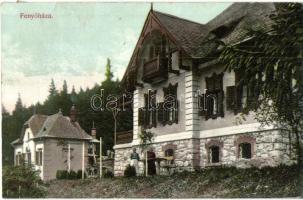 Fenyőháza, Lubochna; nyaralók / villas