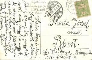 Fenyőháza, Lubochna; nyaralók / villas