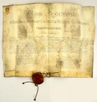 1901 A kolozsvári egyetem jogi diplomája, pergamen, okmánybélyeggel, fatokos sérült műanyag függőpecséttel