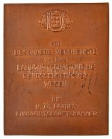 Ausztria DN "Minister u. Staatssekretär a. d. Ökonomierat - Rudolf Buchinger / Für besondere ve...