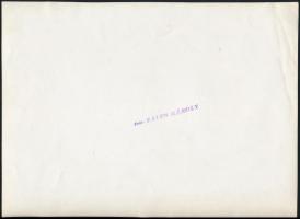 cca 1960 Falus Károly (?-?): 3 db kabátos divatfotó, hátulján pecséttel jelzett, különböző méretben