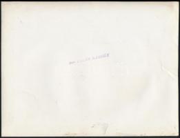 cca 1960 Falus Károly (?-?): 3 db kabátos divatfotó, hátulján pecséttel jelzett, különböző méretben