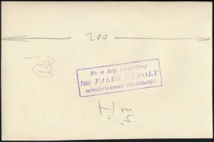 cca 1960 Falus Károly (?-?): 3 db kabátos divatfotó, hátulján pecséttel jelzett, különböző méretben