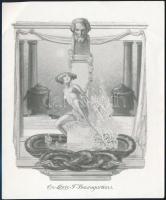 Franz von Bayros (1866-1924): Erotikus ex libris F. Baumgarten. Klisé, papír, jelzett a klisén, sarka hajtott, 12×10 cm.