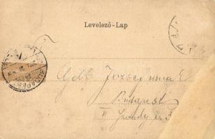 Temesvár, Timisoara; Gyárvárosi izraelita templom, zsinagóga. Címeres, lóherés litho keret / synagog...