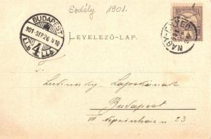 Csombord, Ciumbrud; Báró Bánffy kastély / castle