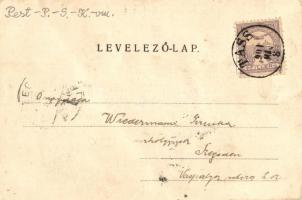 1901 Dunavecse, Templom tér, Református templom, Takács Ignác üzlete, piaci árusok. Takács Sándor ki...