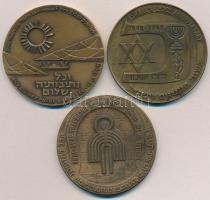 Izrael 1966-1986. 3xklf évfordulós Br emlékérem T:2,2- Israel 1966-1986. 3xdiff Br commemorative medallions C:XF,VF