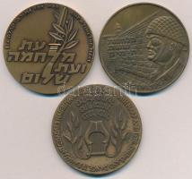 Izrael 1966-1986. 3xklf évfordulós Br emlékérem T:2,2-
Israel 1966-1986. 3xdiff Br commemorative me...