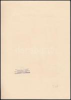 Vadász Endre (1901-1944): Ex libris Gianni Mantero, fametszet, papír, jelzett, 16x10 cm