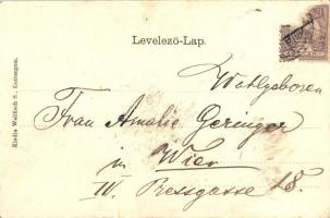 Esztergom, Bazilika. Art Nouveau, litho keret (Rb)