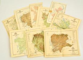 Magyarország vármegyéinek térképei a Pallas Nagy Lexikonából, 9 db, 24x30 cm