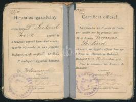 1919 Fényképes ügyvédi igazolvány