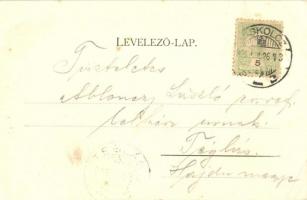 Miskolc, Pannónia szálloda, gyógyszertár, Weissberg Adolf üzlete, Dr. Szél Miksa fogorvos. Kardos Jó...