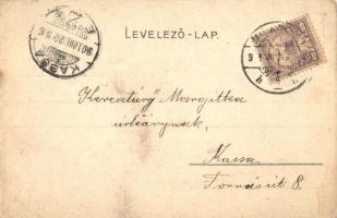 Miskolc, Borsod-Miskolci gőzmalom, magyar címer (EK)