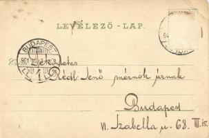 Miskolc, Igazságügyi palota. Verő J. kiadása. floral (Rb)