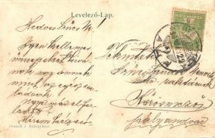 Nyíregyháza, Korona szálloda, Gyurcsány Ferenc, ifj. Szarvady Mihály és Kovács András üzlete, piac á...