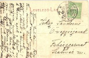 Nyíregyháza, Sóstófürdő; villamosok az állomásnál. W.L. 0503. (EK)