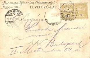 Mosonszentjános, Jánossomorja; Szórády-féle gőzhengermalom, Ámon Adolf 1900-ban épült háza (EK)