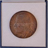 Pátzay Pál (1896-1979) DN "Eötvös József 1813-1874 / Kelety Gusztáv 1834-1902" Br plakett,...