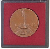 ~1970-1980. "Szabó Ervin-emlékérem / A tudományért - A művelődésért" Br emlékérem, eredeti...