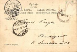 Les fetes du mariage de Sa Majeste de Roi de Serbie / The marriage ceremony of Alexander I of Serbia...