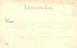 Sopron, Oedenburg; Vendégfogadó-szer a Rozmaring utca bejáratával 1865-ben / Mehl-Niederlage, Wirths...