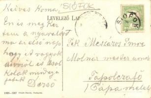 Balaton, Halsütés a parton. Divald Károly 1068-1907