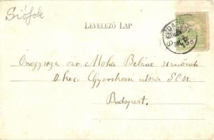 Siófok, kikötő, Baross gőzös. Ellinger Ede fényképész kiadása (r)