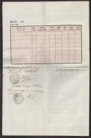 1855 Útlevél  6 kr CM okmánybélyeggel / Passport