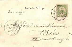 Budapest XIV. Városliget. címeres litho keret