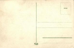 Kalocsa, Stefaneum (Stephaneum) tűzoltósága (felszíni sérülés / surface damage)