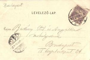 1901 Budapest III. Római fürdő, Nagyvendéglő és kert, étterem, szamár. Divald Károly Art Nouveau