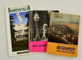 3 db Budapest-kalauz: Gábor Eszter: Budapesti villák (2001); Halász Zoltán: Budapest felfedezése (1959); Hannig Miklós: Séta az Országházban (1964). Példányonként változó, nagyrészt jó állapotban.