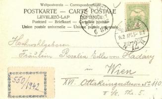 Balaton, bárányok a parti hegyeken / Am Platensee