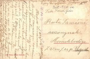 Maglód, Szüreti mulatság, Princz Simon kiadása (Rb)