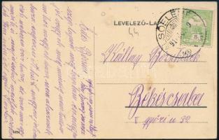 Elemér, Elemir; Kiss kastély, parkrészlet / castle, park (EK)