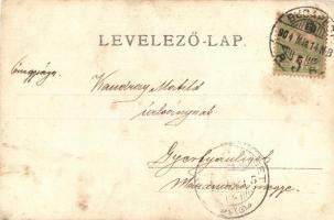 1904 Budapest XIV. Városliget, Vajdahunyad vára. photo (EK)