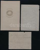 cca 1860 François Joseph Philocles Regnier de La Briere (1807-1885) színész dramaturg portréja, kemé...