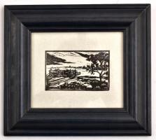 Nagy Vince (1939-): Uszály a Dunán. Linómetszet, papír, jelzett a hátoldalán, üvegezett keretben, 6×...