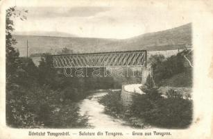 Teregova, Temesvár-Orsova vasúti híd. Dominik Wegel kiadása / Timisoara-Orsova railway bridge (EK)