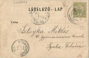 1903 Lupény, Lupeni; Állami elemi népiskola / school. photo (EK)
